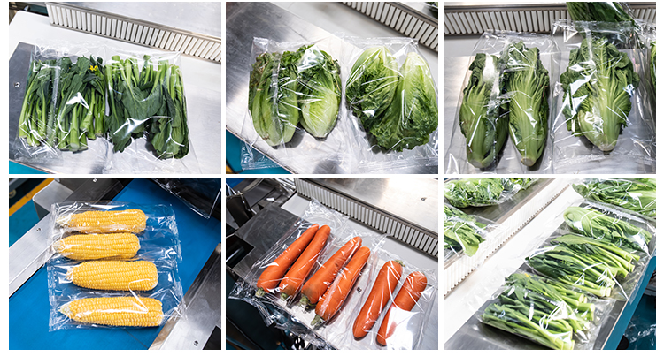 福建（jiàn）蔬菜包裝（zhuāng）機-圖片1